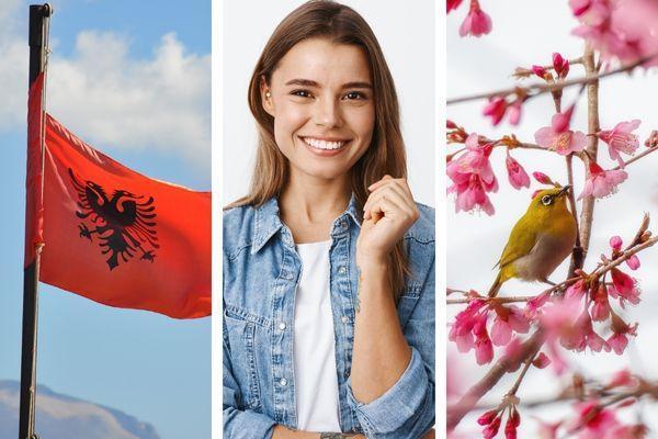 summerday albania