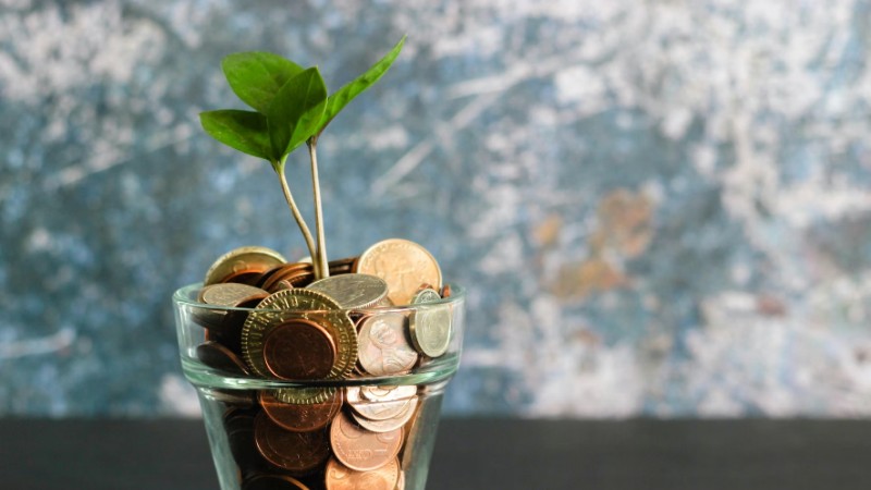 w, tags: economic - unsplash